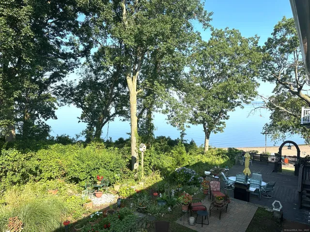 a view of a garden with plants and large trees