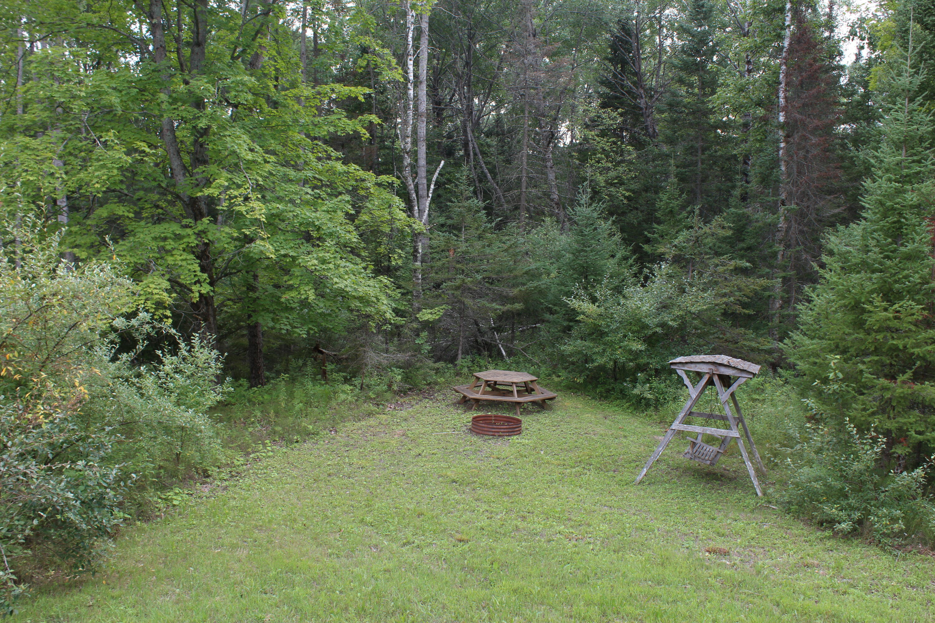 1630 Sanborn Road Mikado, MI 48745 - Photo 12 of 71 Gallery Image 12