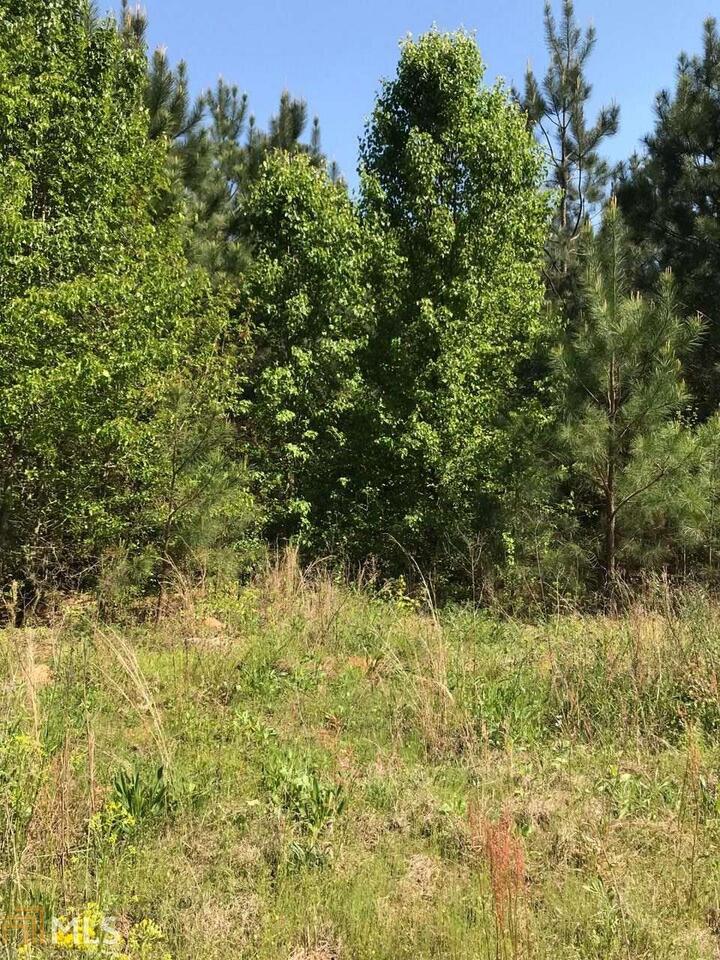 4275 Jonesboro Road Hampton, GA 30228 - Photo 1 of 1