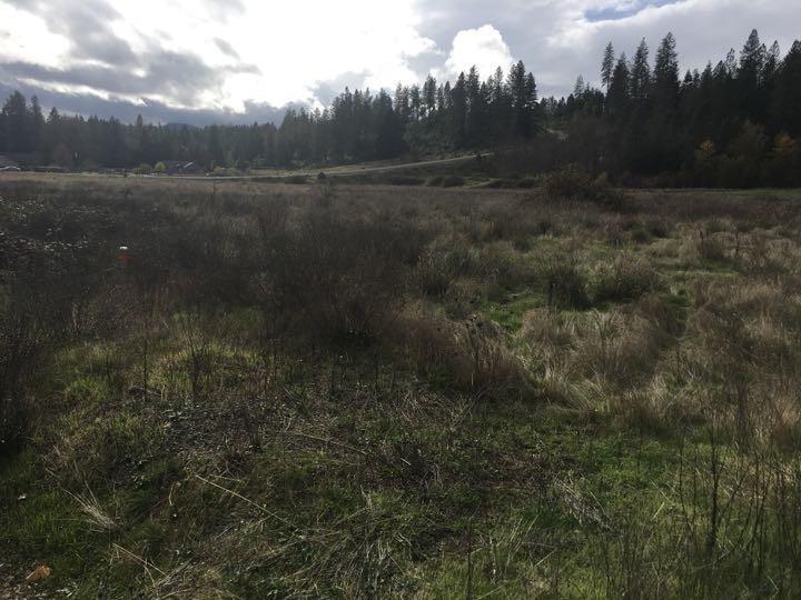 5786 Riverbanks Road Grants Pass, OR 97527 - Photo 2 of 3 Additional Photo