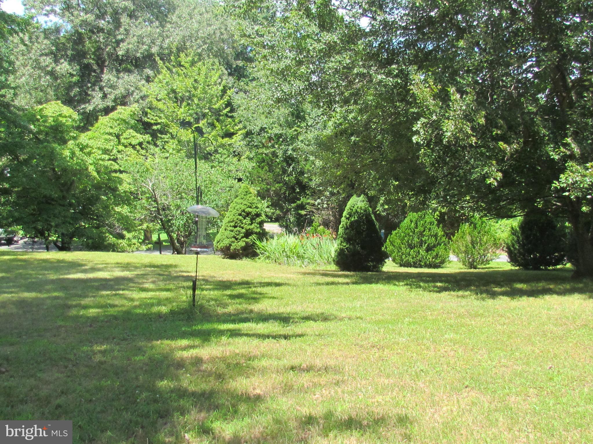 5523 Waterford Road Rixeyville, VA 22737 - Photo 7 of 10 Interior (General)