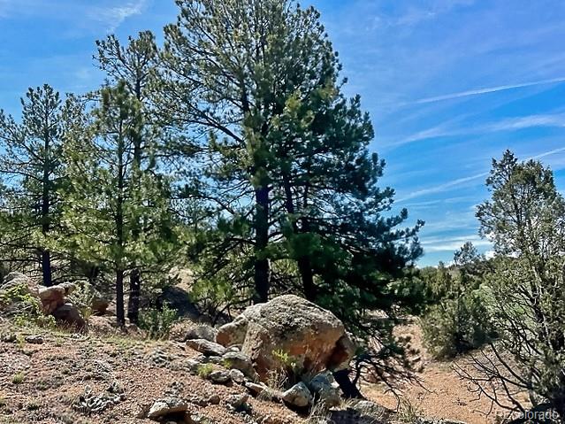 7080 Copper Gulch Road Cotopaxi, CO 81223 - Photo 11 of 14 a view of an outdoor space and a yard