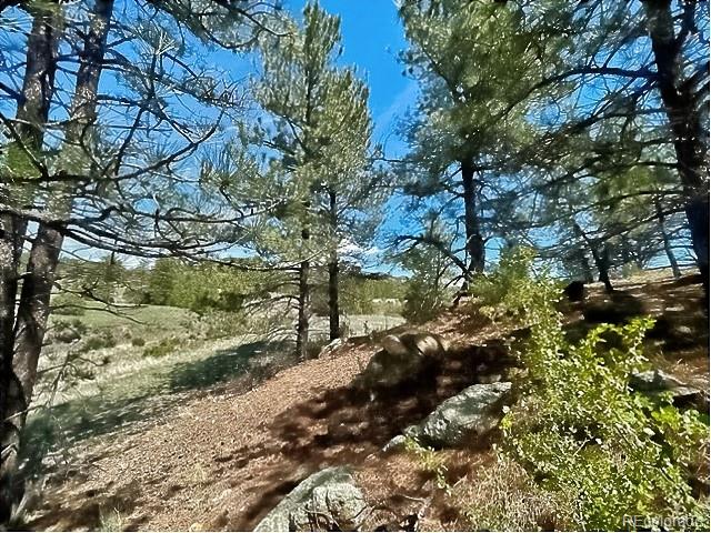 7080 Copper Gulch Road Cotopaxi, CO 81223 - Photo 12 of 14 a view of a forest with trees