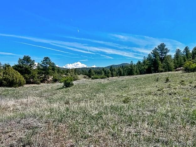 7080 Copper Gulch Road Cotopaxi, CO 81223 - Photo 13 of 14 a view of a field with an ocean
