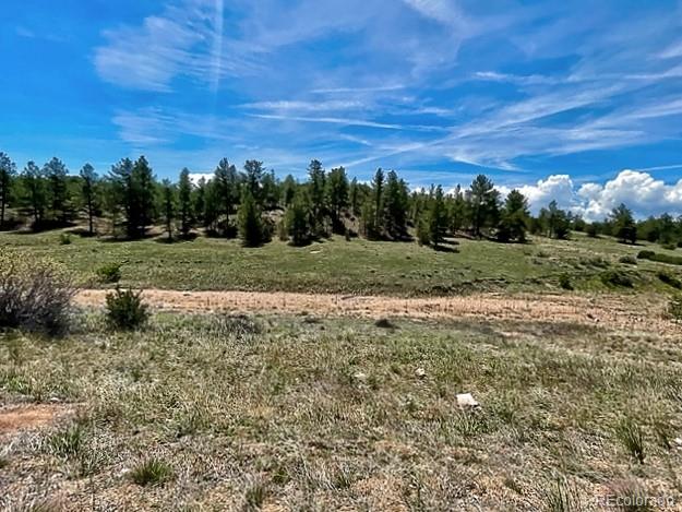 7080 Copper Gulch Road Cotopaxi, CO 81223 - Photo 3 of 14 a view of a field with an trees