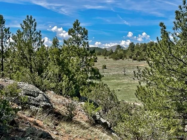7080 Copper Gulch Road Cotopaxi, CO 81223 - Photo 4 of 14 a view of a city