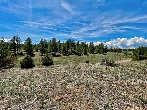7080 Copper Gulch Road Cotopaxi, CO 81223 - Photo 6 of 14 a view of a dry yard with wooden fence