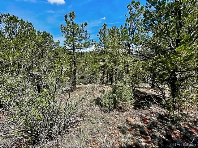 7080 Copper Gulch Road Cotopaxi, CO 81223 - Photo 7 of 14 a view of a garden with a tree