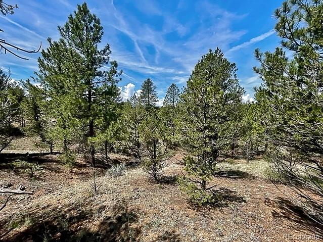 7080 Copper Gulch Road Cotopaxi, CO 81223 - Photo 9 of 14 a view of a large yard with lots of bushes