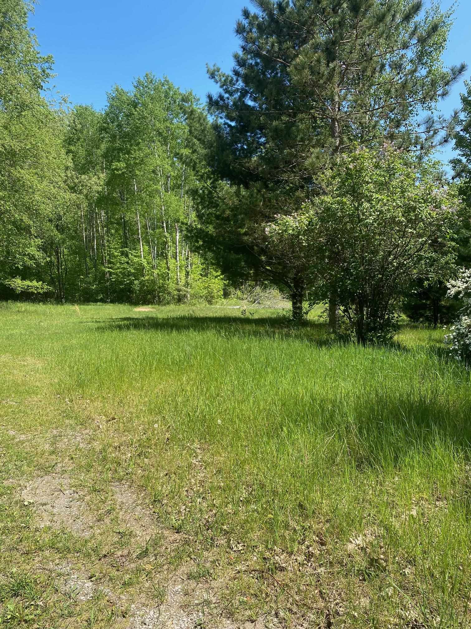 3302 Dana Road Coleman, MI 48618 - Photo 45 of 50