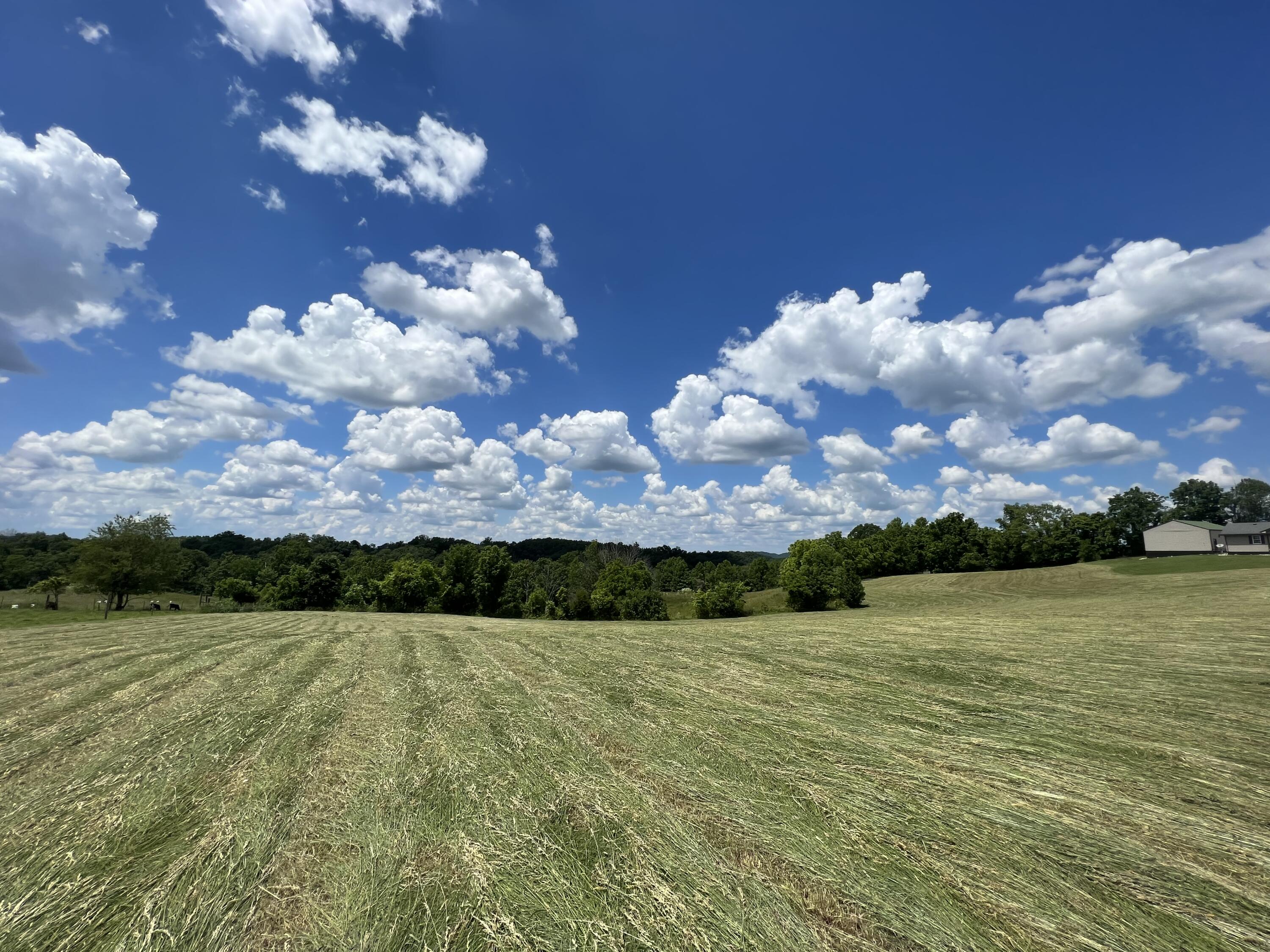 9999 Chestnut Grove Road Brodhead, KY 40409 - Photo 20 of 67 6A2393FD-F4A2-4252-842C-C126945F4EEE
