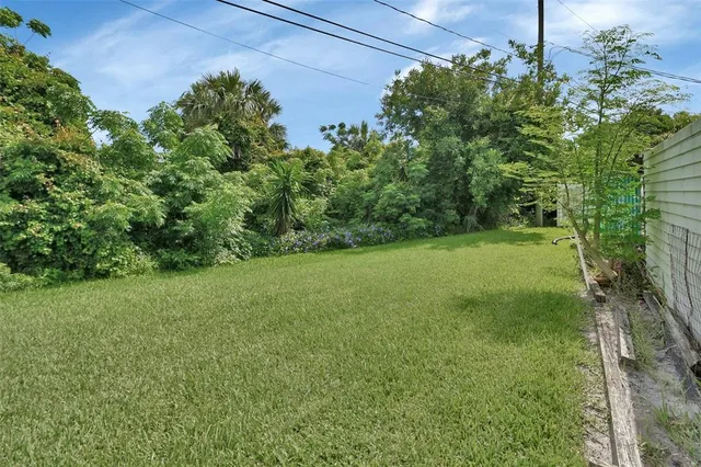 a view of a field with a tree