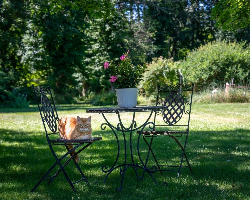 36 Patten Road Merrimack, NH 03054 - Photo 29 of 32 a view of chairs and bench in the garden