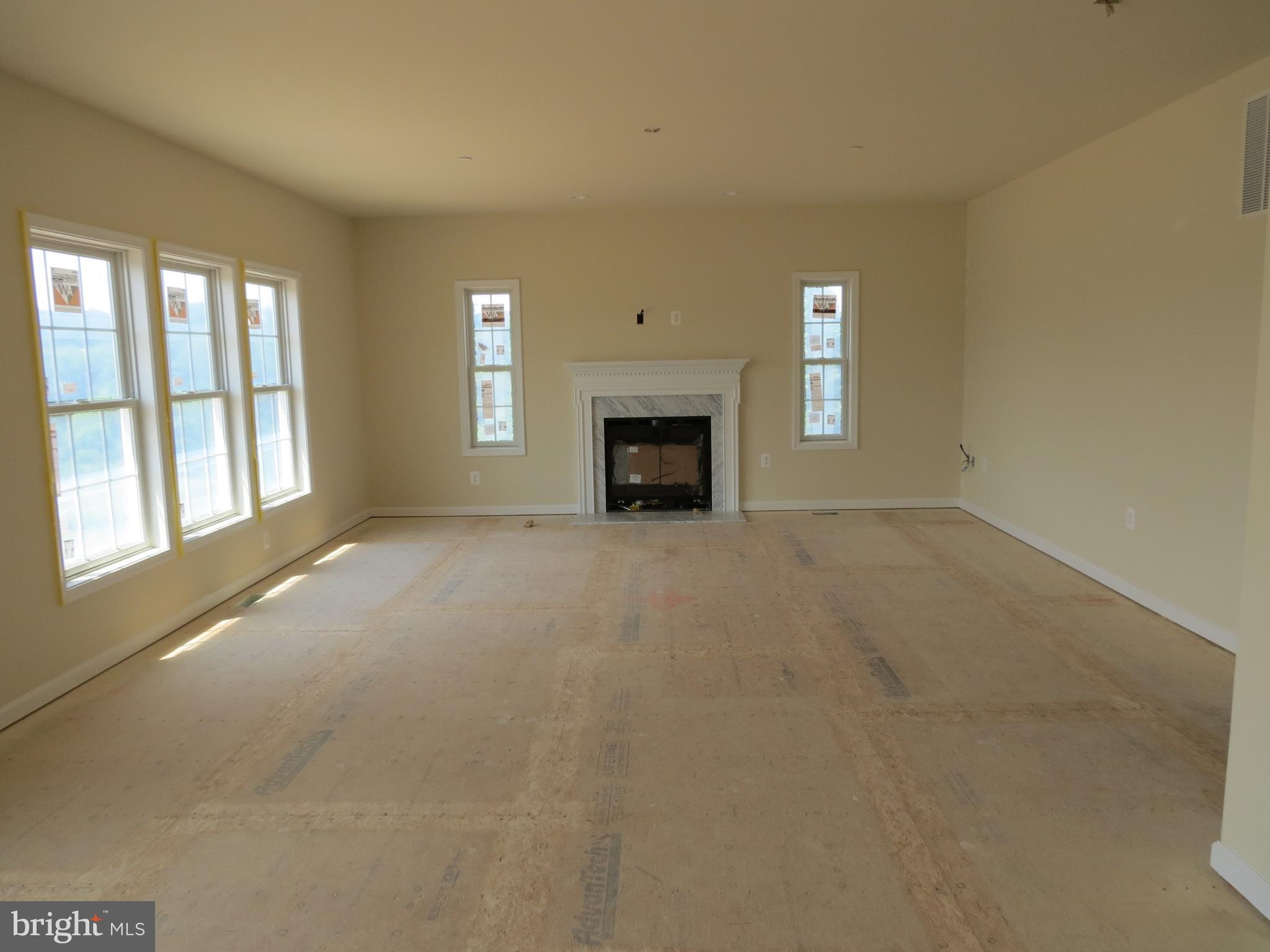 41 Wind Ridge Road Mount Airy, MD 21771 - Photo 13 of 30 Ceiling fan & Natural Gas Fireplace