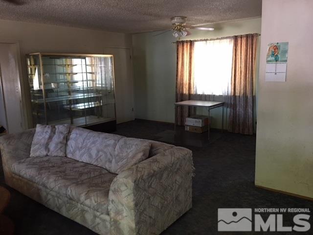 800 Wildes Road Fallon, NV 89406 - Photo 3 of 12 Photo 3