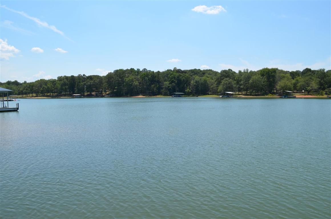 309 Lake Front Road Townville, SC 29689 - Photo 3 of 30 Gallery Image 3