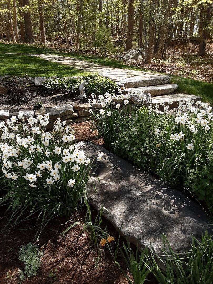 279 Indian Point Road Georgetown, ME 04548 - Photo 74 of 84 Summer Garden