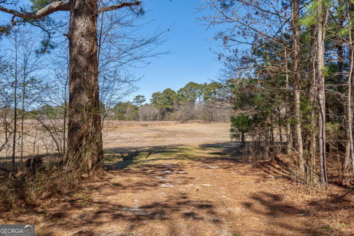 202 Kent Rock Road, Unit TRACT 4 Loganville, GA 30052 - Photo 7 of 8