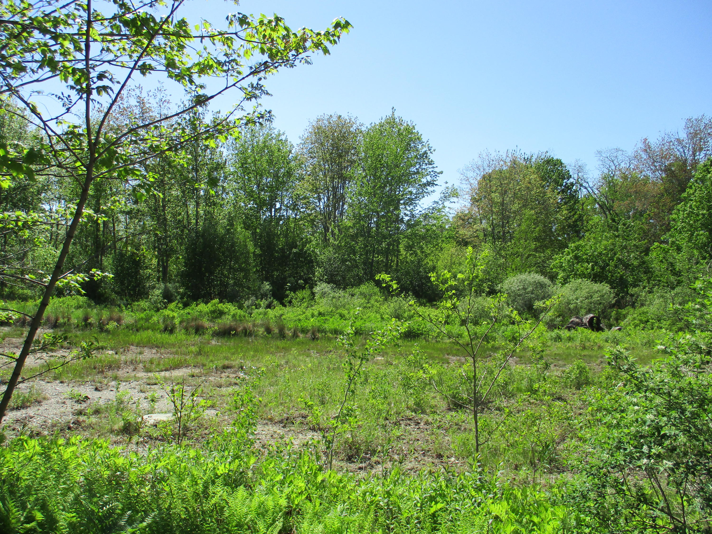 1660 Washington Road Waldoboro, ME 04572 - Photo 6 of 15 IMG_1509