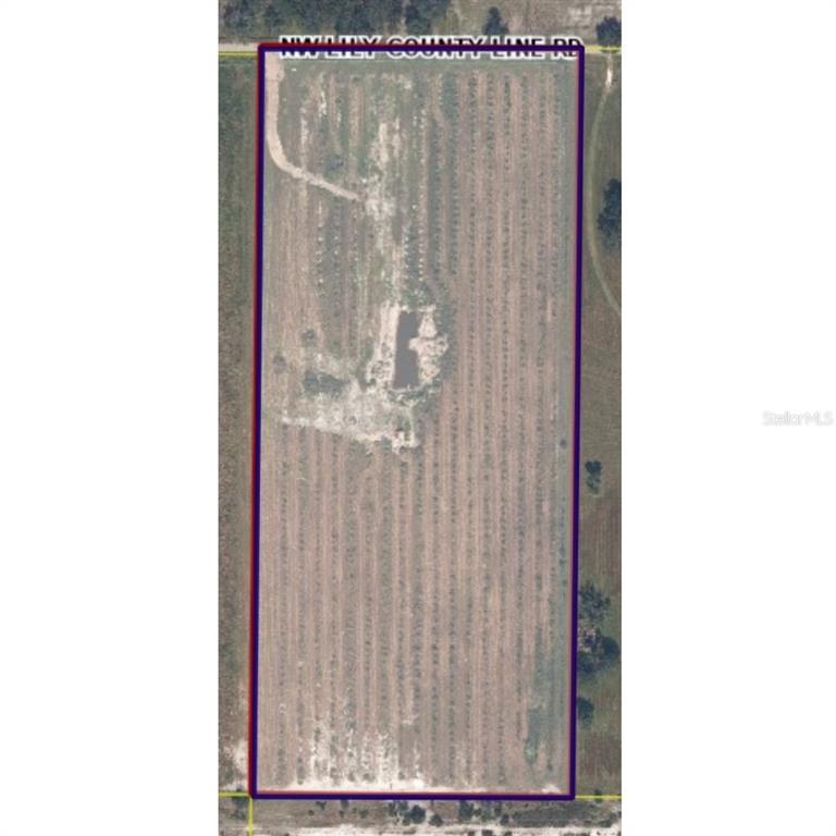 8153 Lily Co Road Ona, FL 33865 - Photo 1 of 1 Gallery Image 1