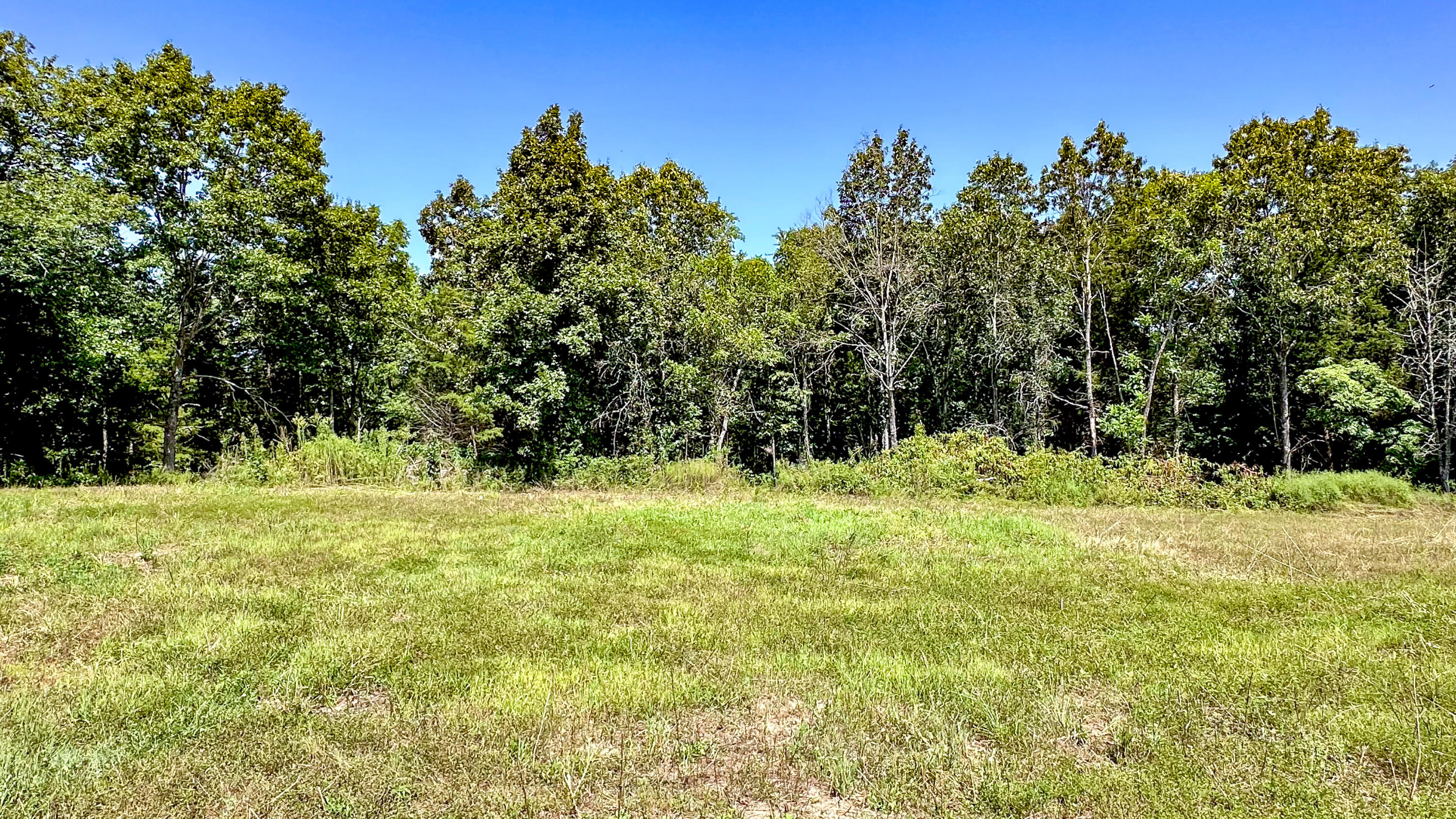 8380 St George Road Hartville, MO 65667 - Photo 38 of 43 St George Rd-38
