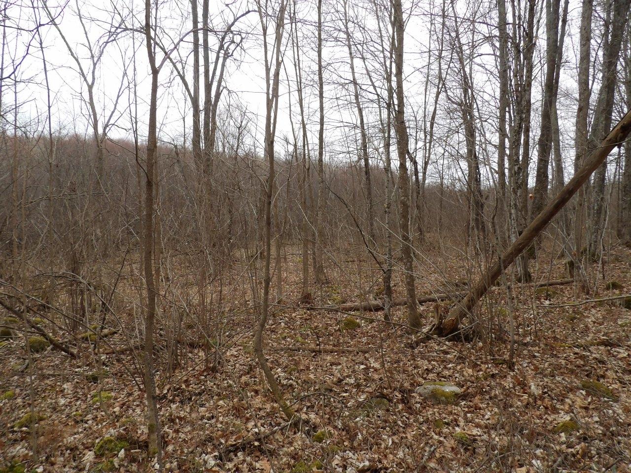 On Tower Road Winter, WI 54896 - Photo 11 of 21 Gallery Image 11
