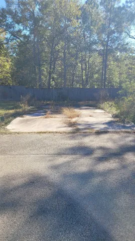 a view of a yard with a trees