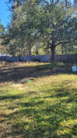 a view of a yard with a tree