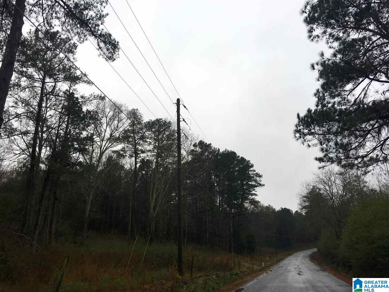 1245 Eureka Road, Unit 2 Lincoln, AL 35096 - Photo 3 of 32