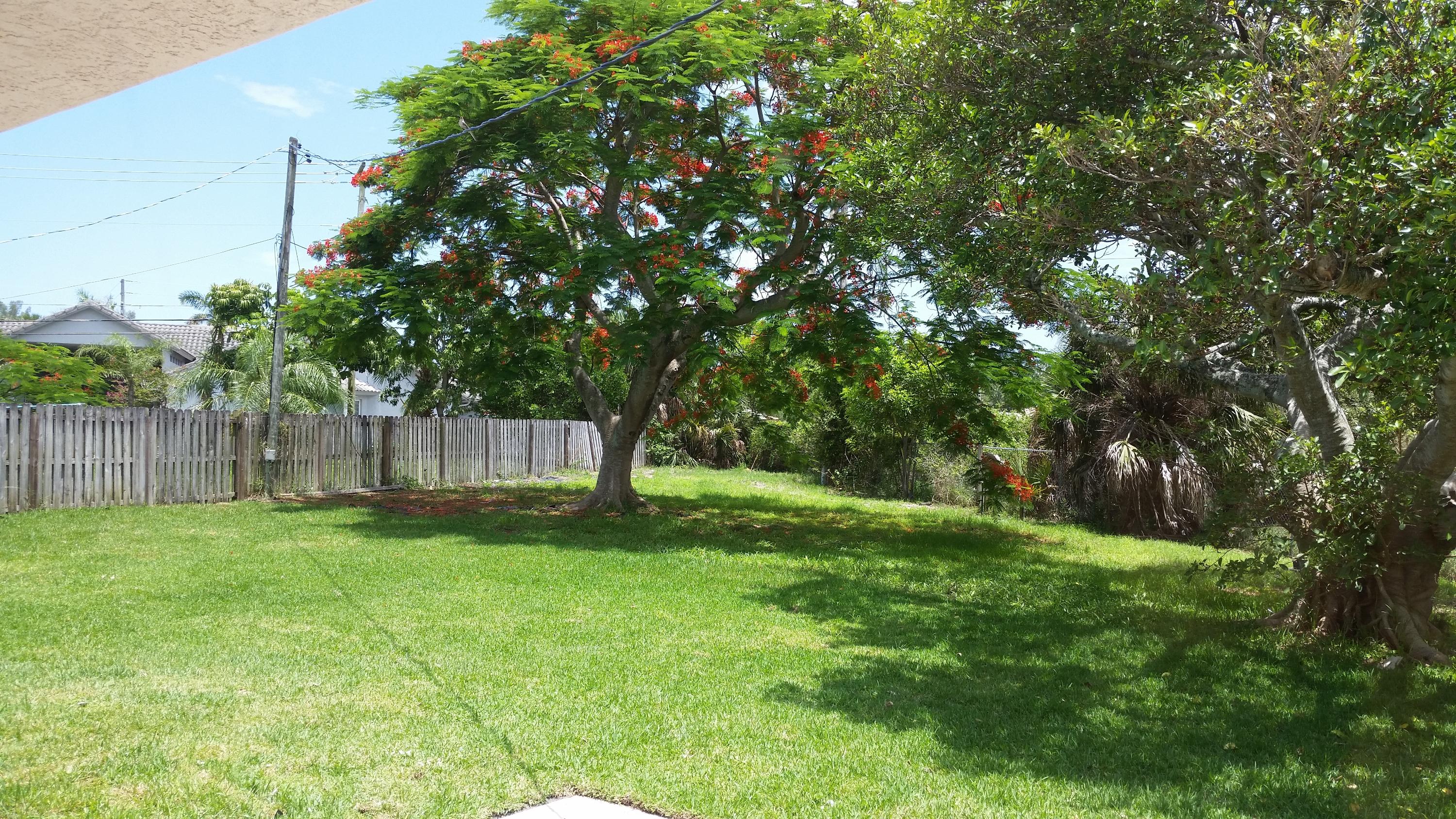 250 Northwest 46th Street Boca Raton, FL 33431 - Photo 5 of 7 250 nw 46th back yard