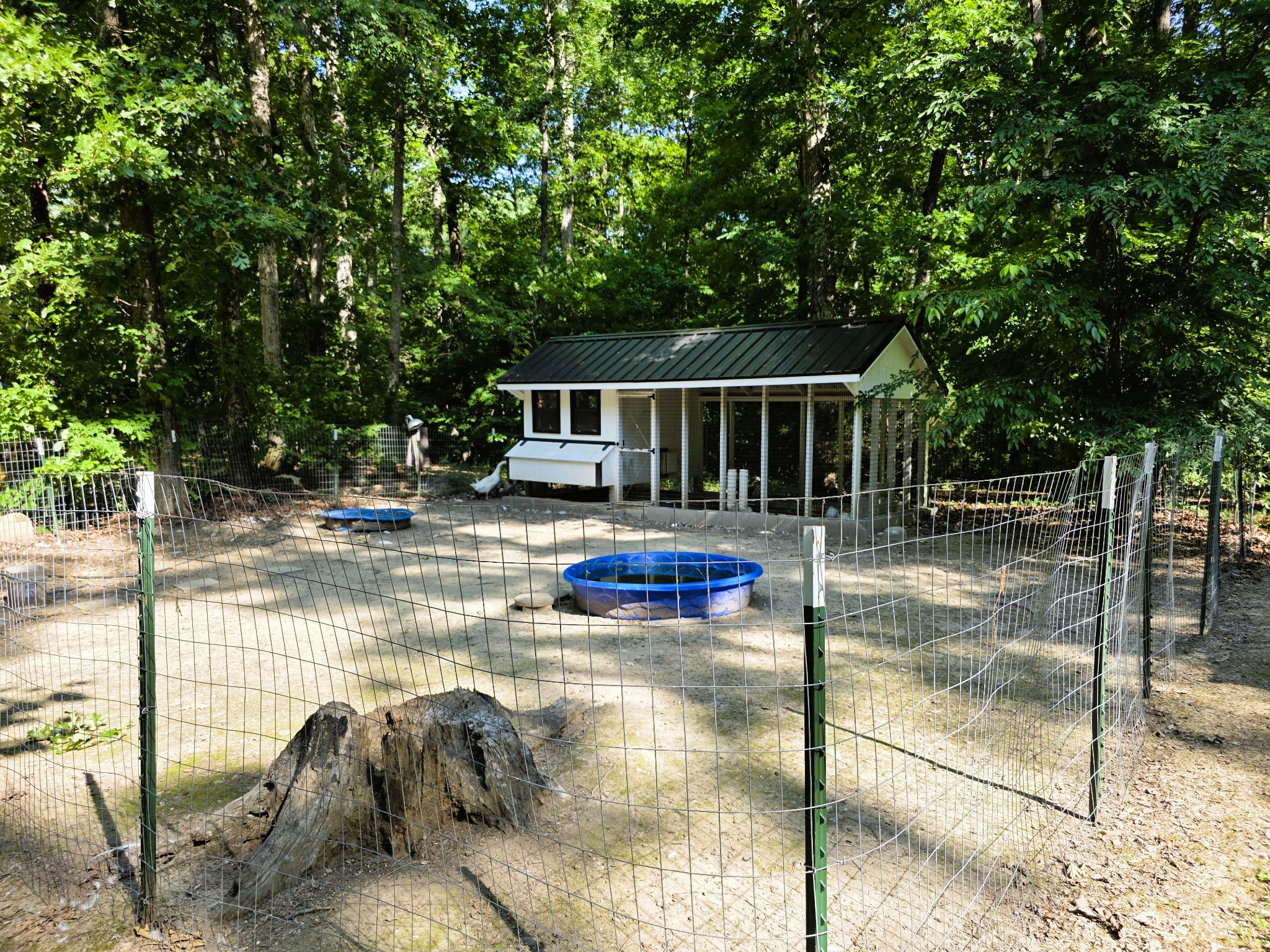 1975 Kelly Road Holladay, TN 38341 - Photo 78 of 95