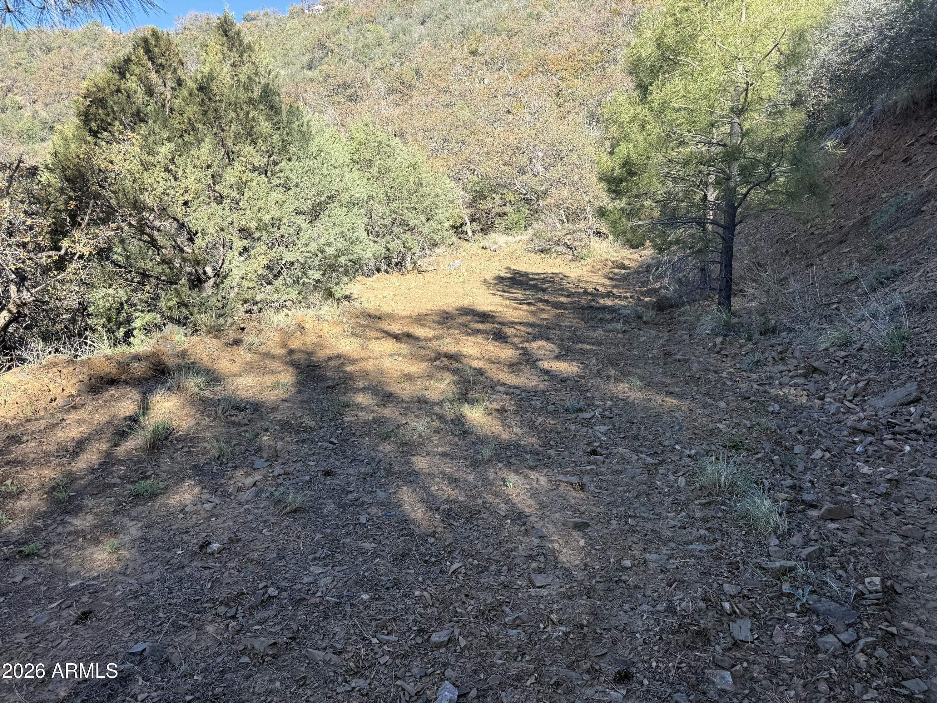 22550 Gladiator Mine Road Crown King, AZ 86343 - Photo 3 of 6