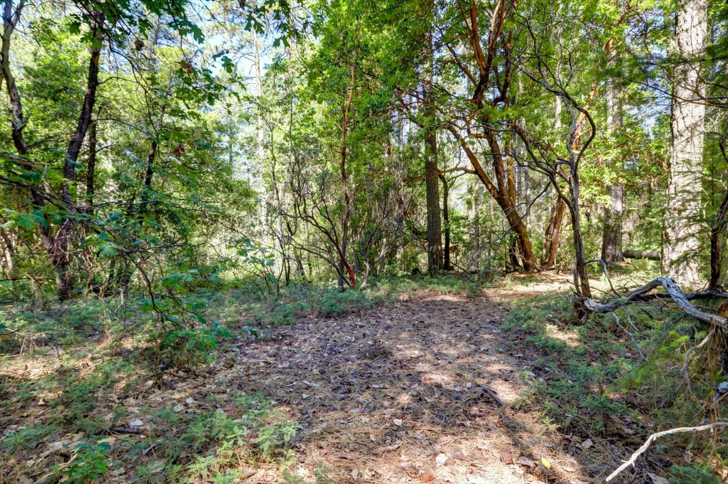 17390 Skyland Road Nevada City, CA 95959 - Photo 3 of 17
