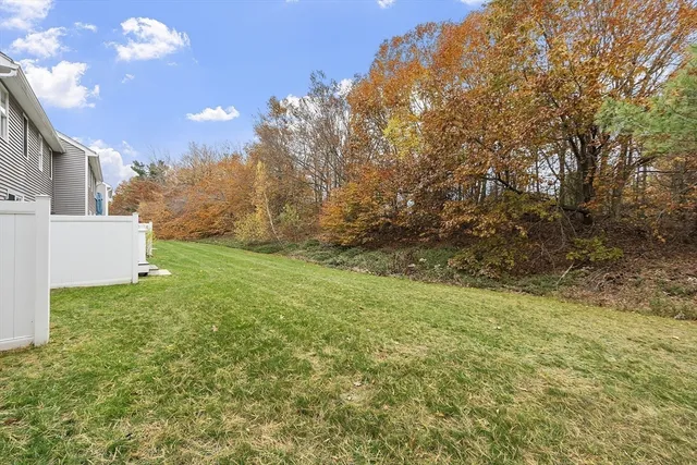 a view of a yard with an tree