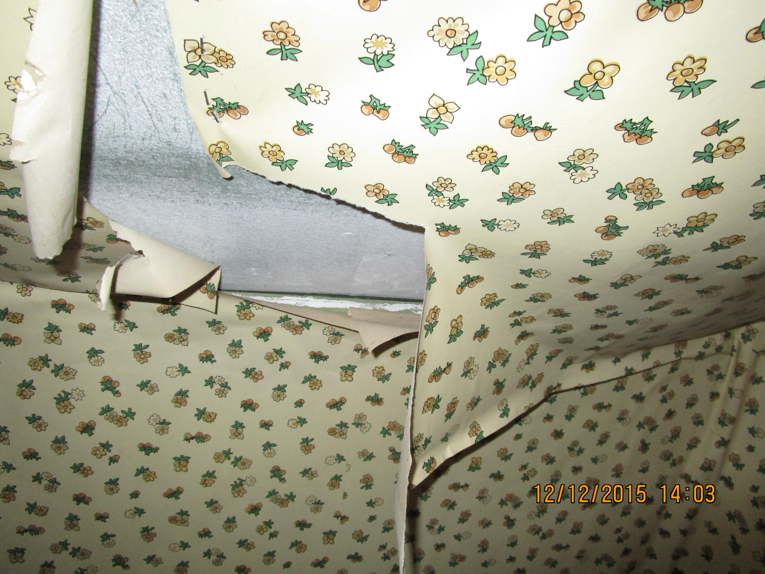 400 Edwards Road Penhook, VA 24137 - Photo 16 of 24 a bathroom with a shower curtain
