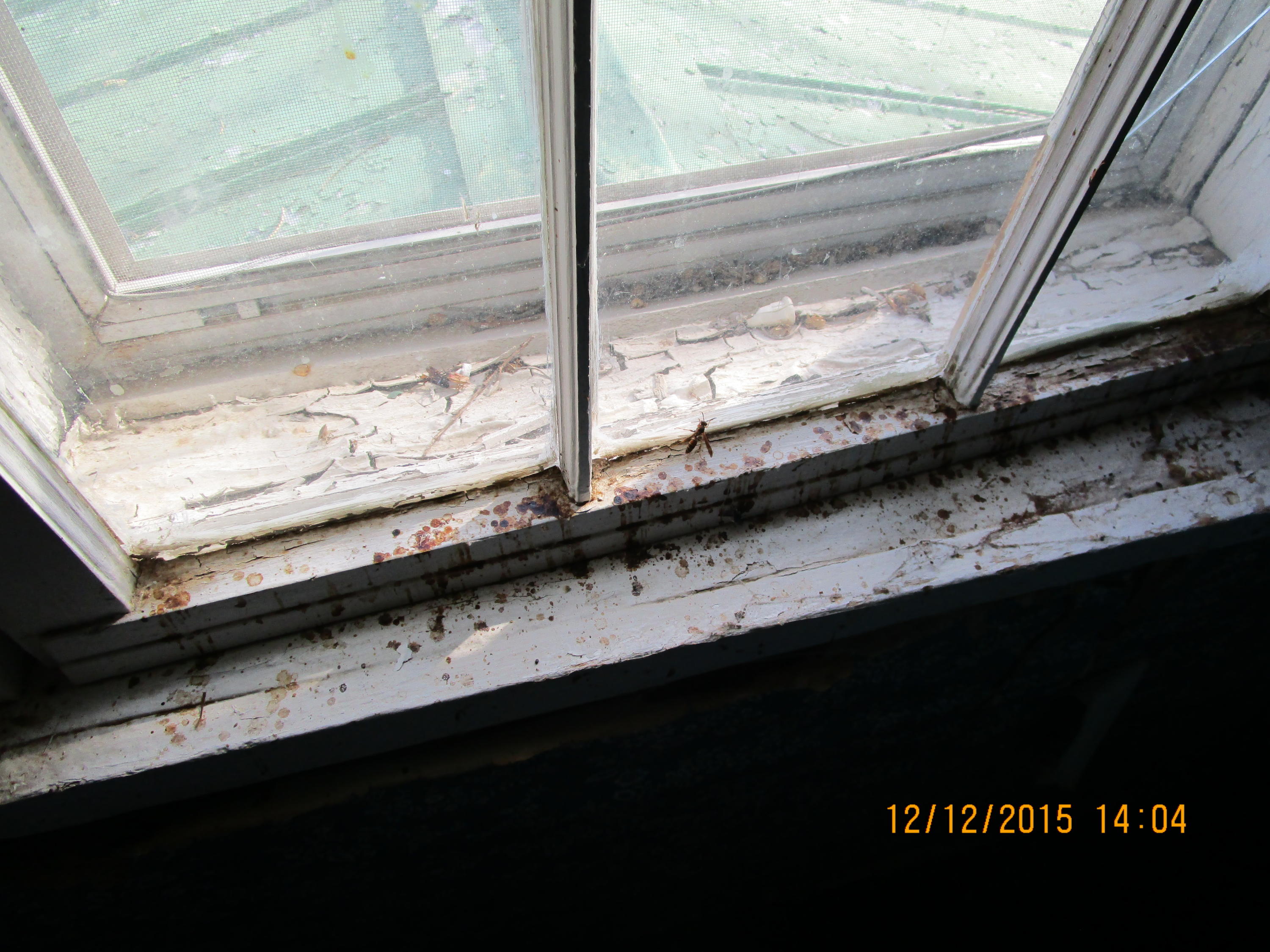 400 Edwards Road Penhook, VA 24137 - Photo 20 of 24 a close view of a granite counter top a stove and a window
