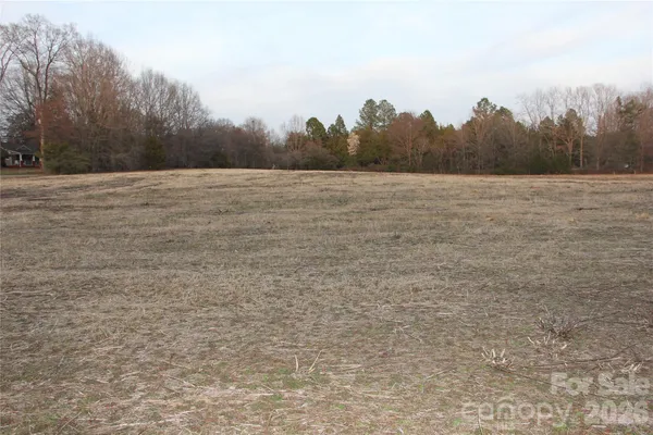 a view of a field with trees in the background