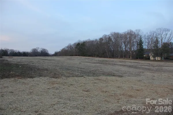 a view of dirt field with trees in background