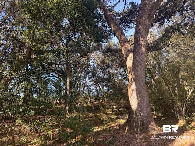 0 Krehling Lane Elberta, AL 36530 - Photo 8 of 10 View of undeveloped land