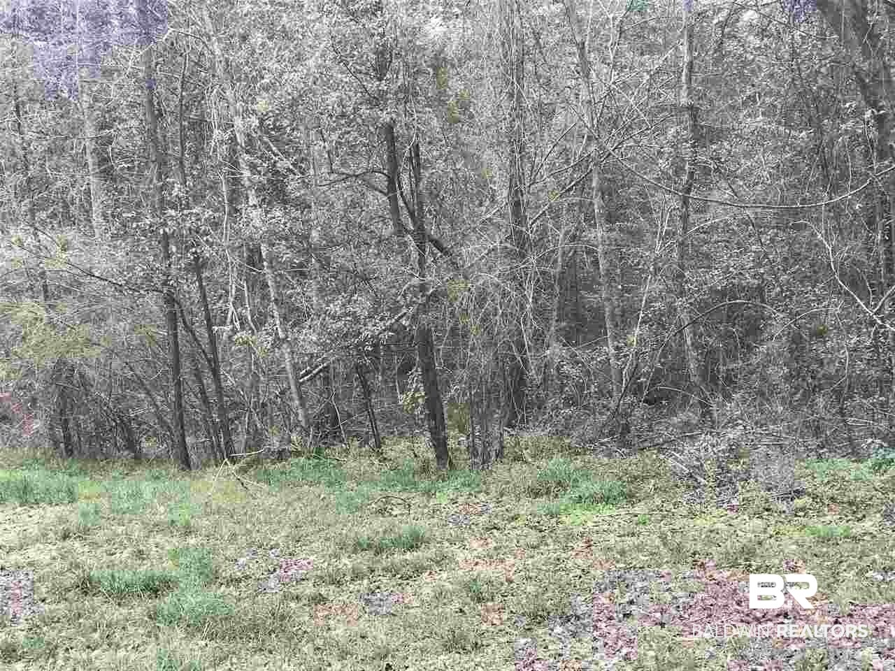 8903 Bromley Road Bay Minette, AL 36507 - Photo 5 of 8