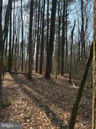 $179,900 | 0 Henry Road, Berlin, MD 21811