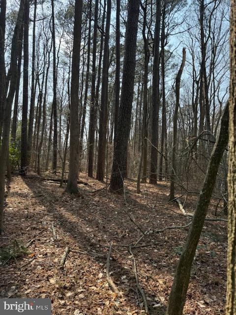 0 Henry Road Berlin, MD 21811 - Photo 7 of 10