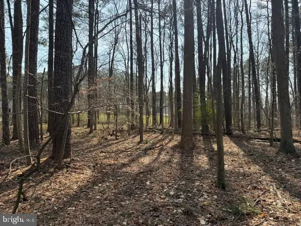 $179,900 | 0 Henry Road, Berlin, MD 21811