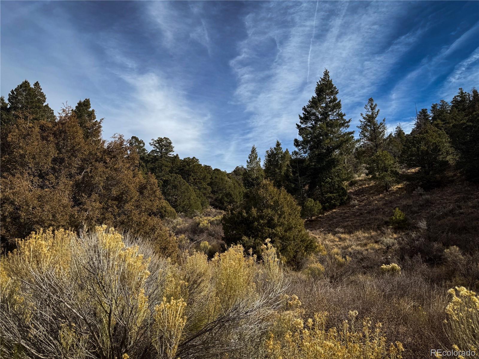 a view of a building