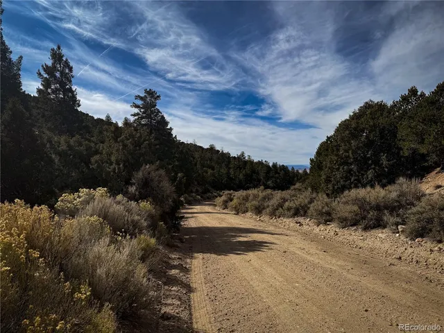 a view of road with large trees