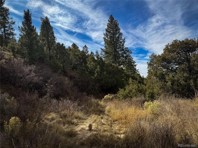 a view of outdoor space and tree