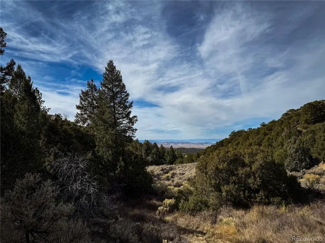 a view of a bunch of trees and bushes