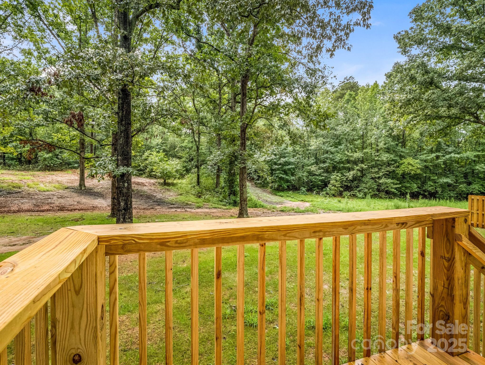 734 Hines Road Mooresboro, NC 28114 - Photo 43 of 46