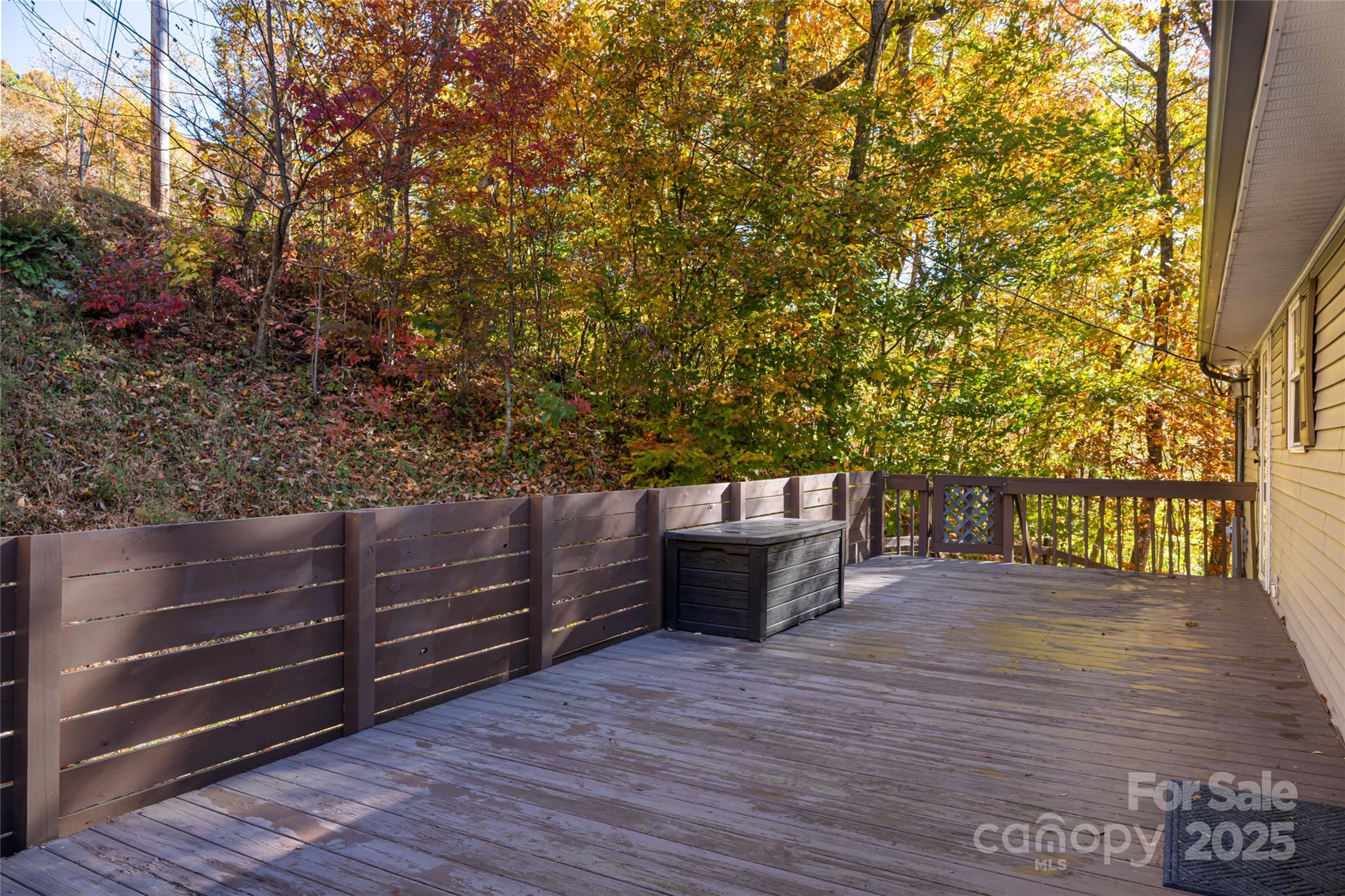 334 Foxden Road Mars Hill, NC 28754 - Photo 34 of 43 a view of outdoor space and hardwood