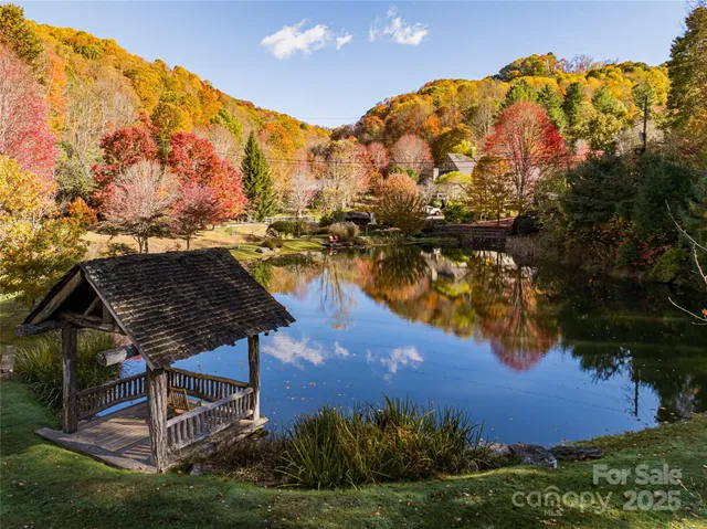 a view of a lake with a mountain in the background